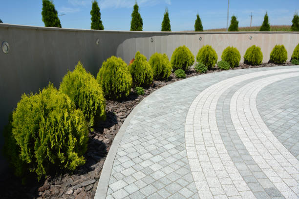 Best Interlocking Driveway Pavers  in Nashwauk, MN